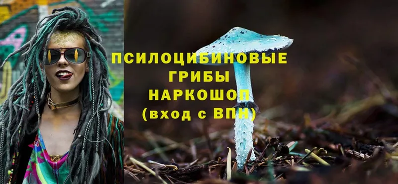 Галлюциногенные грибы MAGIC MUSHROOMS  blacksprut ТОР  Поронайск  где купить наркотик 